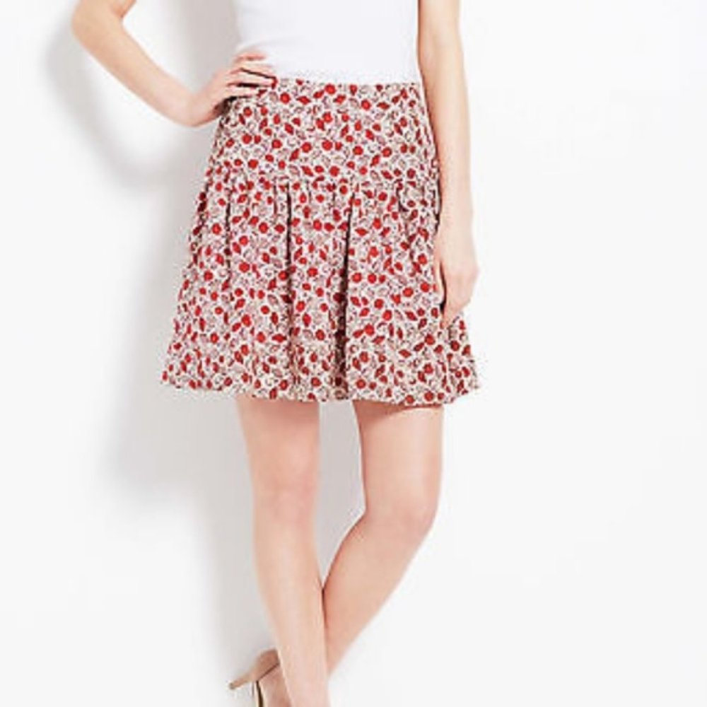 Ann Taylor Seashell Skirt